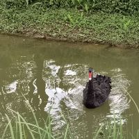 評論圖片 5
