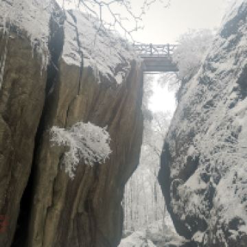 評論圖片 6