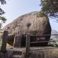 評論圖片 7