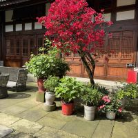 評論圖片 2