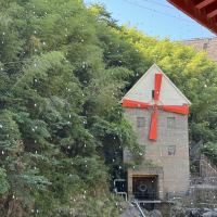 評論圖片 7