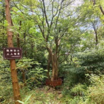 評論圖片 7