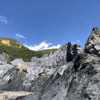 評論圖片 3