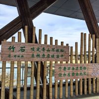 評論圖片 2