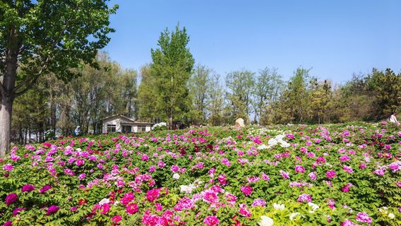 Bolushan Ecology Tourism Scenic Area