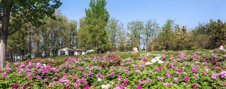 Bolushan Ecology Tourism Scenic Area
