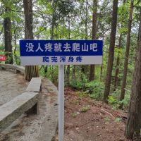評論圖片 6