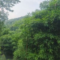 評論圖片 7