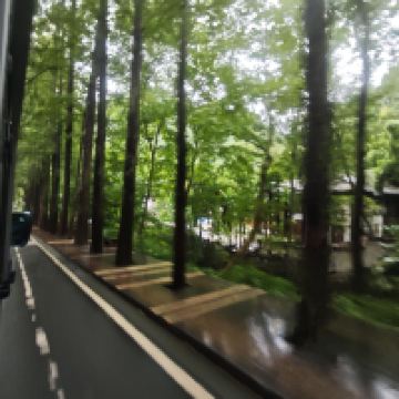 評論圖片 9