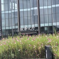 評論圖片 4