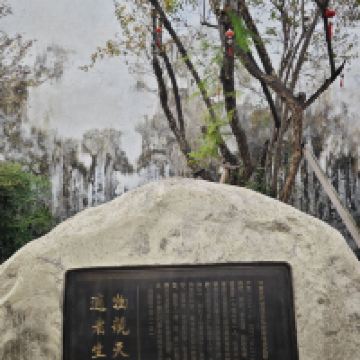 評論圖片 8