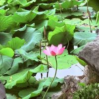 評論圖片 5