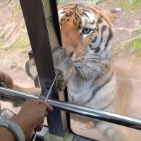 評論圖片 6