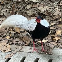 評論圖片 3