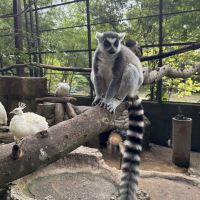 評論圖片 7