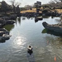 評論圖片 1
