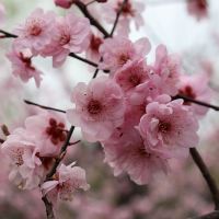 評論圖片 5