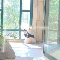 評論圖片 8