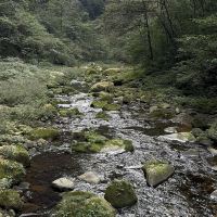 評論圖片 8