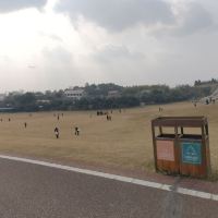評論圖片 5