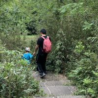 評論圖片 3