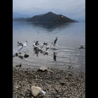 評論圖片 5