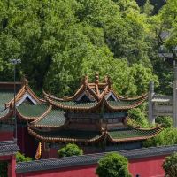 評論圖片 2