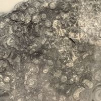 評論圖片 4