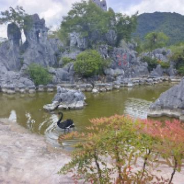 評論圖片 2