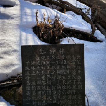 評論圖片 5