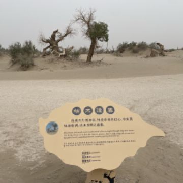評論圖片 4