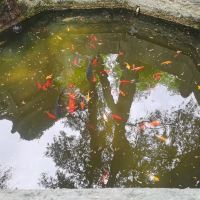評論圖片 4