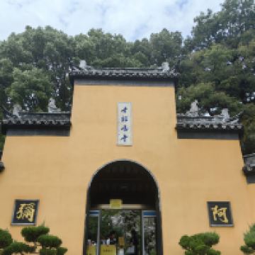 評論圖片 1