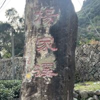 評論圖片 7