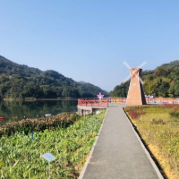 評論圖片 8
