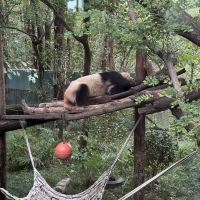 評論圖片 7