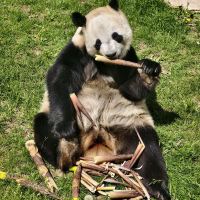 評論圖片 1