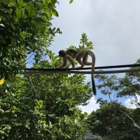 評論圖片 7