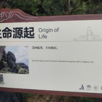評論圖片 9