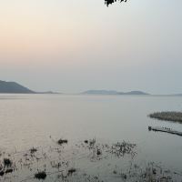 評論圖片 4
