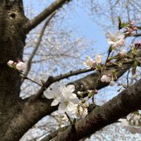 評論圖片 3