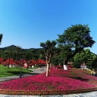 評論圖片 3