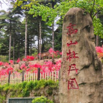 評論圖片 1