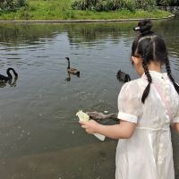 評論圖片 8