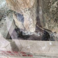 評論圖片 4