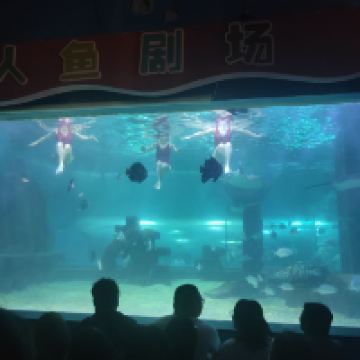 評論圖片 8