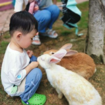 評論圖片 6