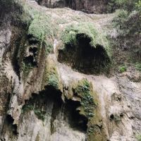 評論圖片 2