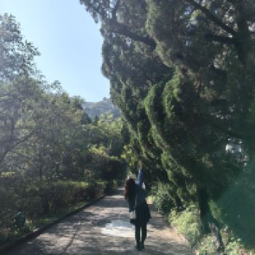 評論圖片 5