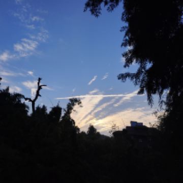 評論圖片 2
